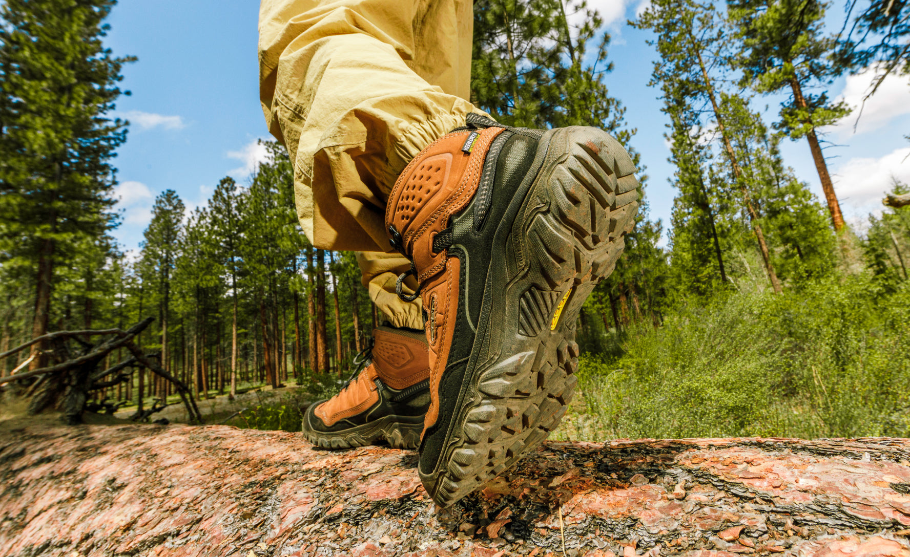 Men's Targhee IV Waterproof Hiking Boot Brindle/Canteen | Kenn On Sale