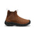 Bison/Black