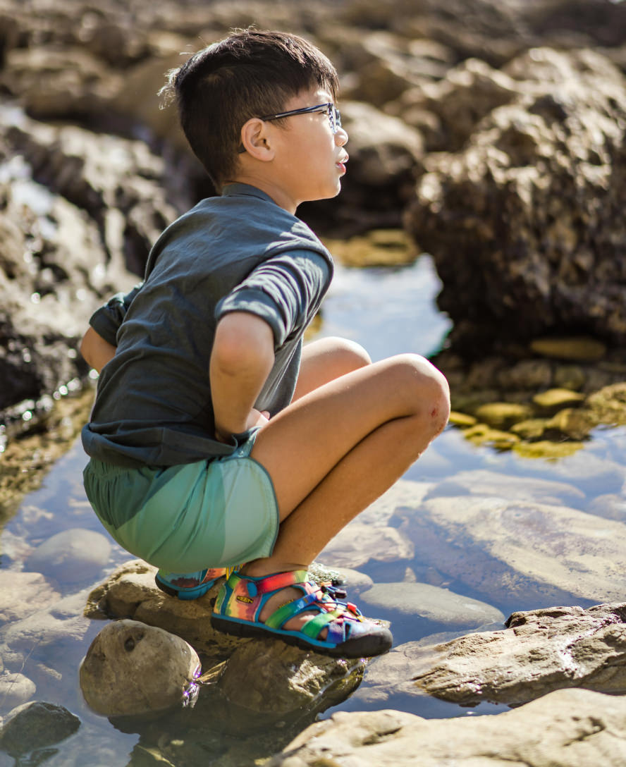 Little Kids' Seacamp II CNX Daisies/Marina | Keen Outlet